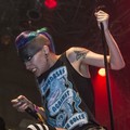 Click to enlarge GutterPunk - Professional Concert Photography